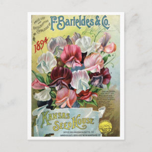 Alte Samenwerbung Postkarte