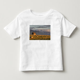 Alte Scheune, eingerahmt von Heuballen und dramati Kleinkind T-shirt