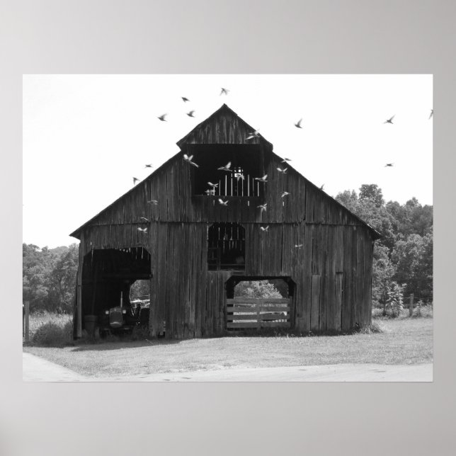 Alte Scheune Poster (Vorne)