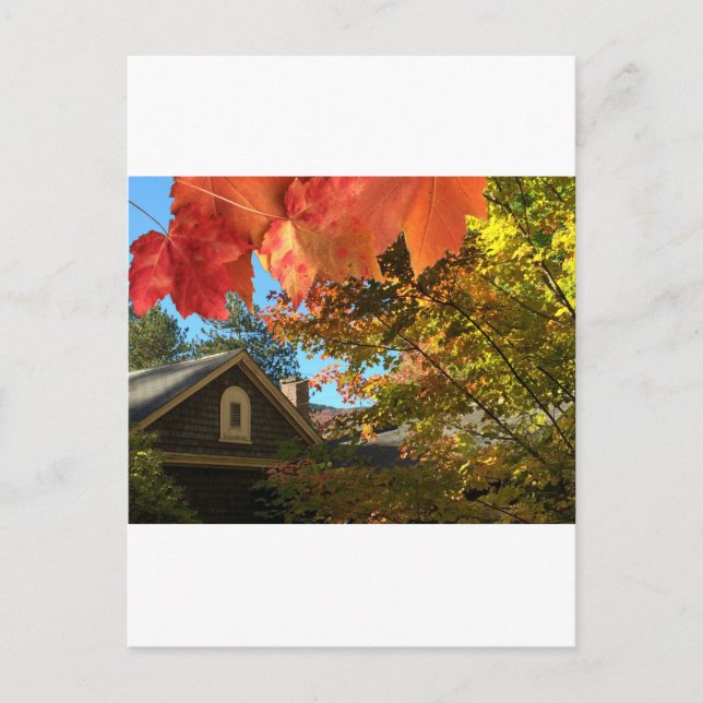 Alte Scheunen-Foliage-Ansichtskarte Postkarte (Vorderseite)