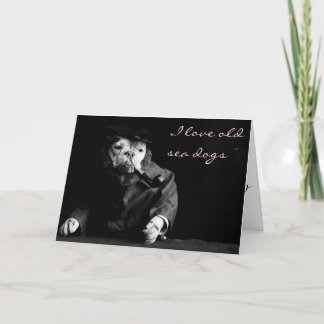 Alte SeehundeValentinstag-Karte Feiertagskarte