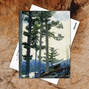 Alte Siedler Winslow Homer Postkarte