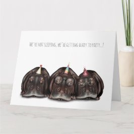 Alte Sleepy Hippos Geburtstagskarte! Karte