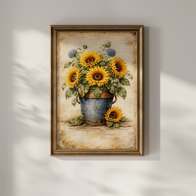 Alte Sonnenblumen in einem rustikalen Eimer Poster (Von Creator hochgeladen)