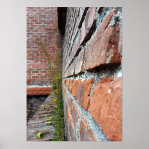 alte Stadtmauer Poster