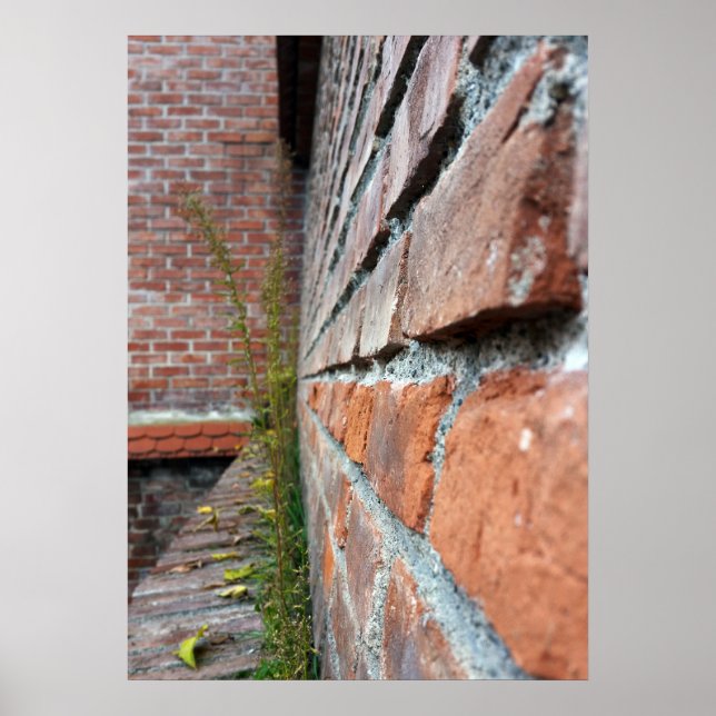 alte Stadtmauer Poster (Vorne)