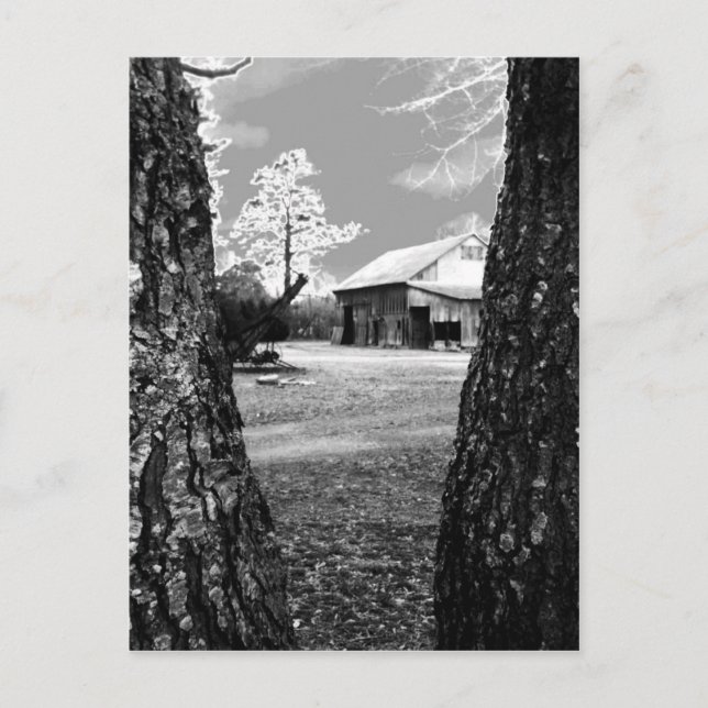 Alte Stallhalle Land Schwarz-Weiß-Foto Postkarte (Vorderseite)