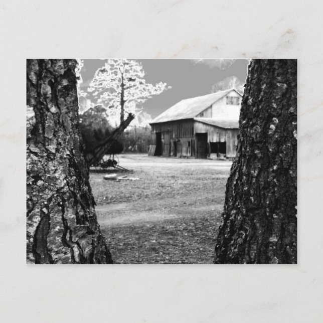 Alte Stallhalle Land Schwarz-Weiß-Foto Postkarte (Vorderseite)