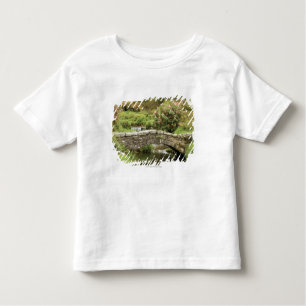 Alte Steinbrücke über einem Strom in Dartmoor Park Kleinkind T-shirt