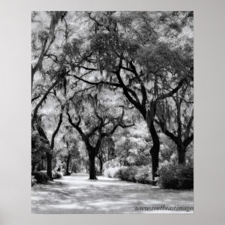 Alte Südpromenade Poster