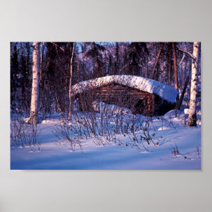 Alte Trapper-Kabine Poster