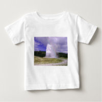 Alte Treue im Yellowstone Nationalpark