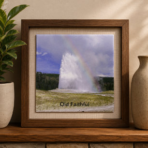 Alte Treue im Yellowstone Nationalpark Fliese