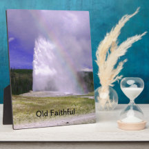 Alte Treue im Yellowstone Nationalpark