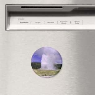 Alte Treue im Yellowstone Nationalpark Magnet