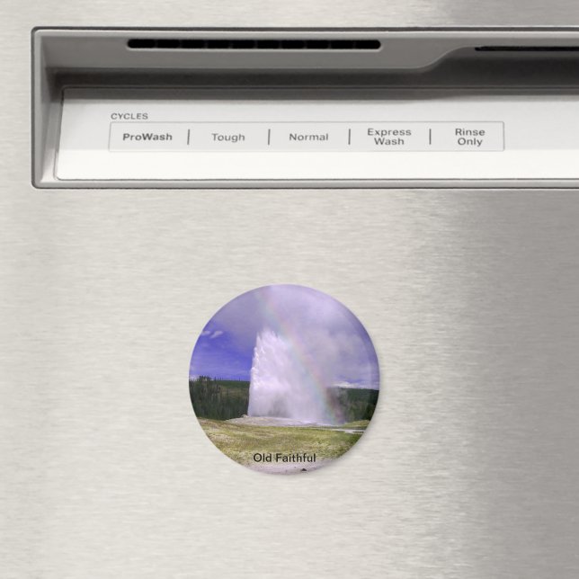 Alte Treue im Yellowstone Nationalpark Magnet (In Situ (Geschirrspüler))