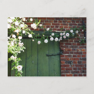 Alte Tür und Rose Postkarte