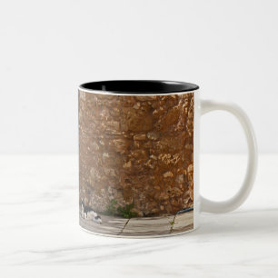 Alte Tür und stillstehende Katze Zweifarbige Tasse