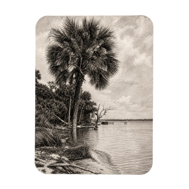 Alte Uferlinie Floridas Graphit-Skizze | Rockledge Magnet (Vertikal)
