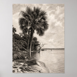 Alte Uferlinie Floridas Graphit-Skizze   Rockledge Poster