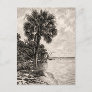 Alte Uferlinie Floridas Graphit-Skizze Rockledge Postkarte