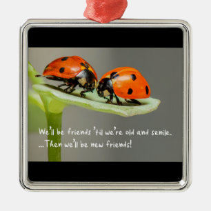 Alte und senile Marienkäfer Neue Freunde Lustige b Ornament Aus Metall