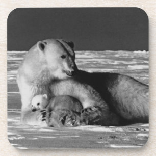 Alte USA Alaska Mutter Eisbär Getränkeuntersetzer