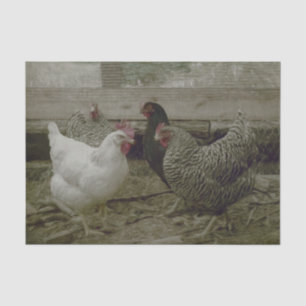 Alte Vintage-Hühnerhof-Landhuhn Seidenpapier