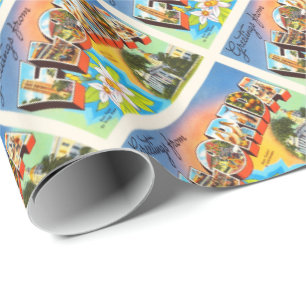 Alte Vintage Reise-Andenken Staats-Florida Geschenkpapier