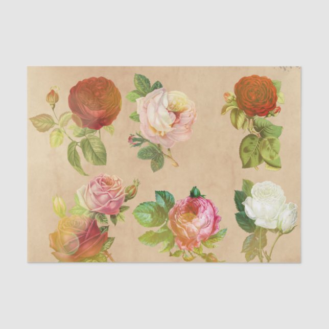 Alte Vintage Rosen-Blumendruck Seidenpapier (Vorderseite)