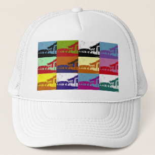 ALTE WALES TRUCKERKAPPE