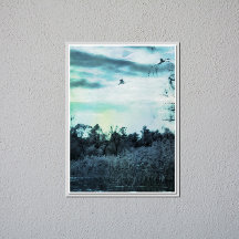 Alte Wasserfarbe mit einem Vogelglanz-Poster