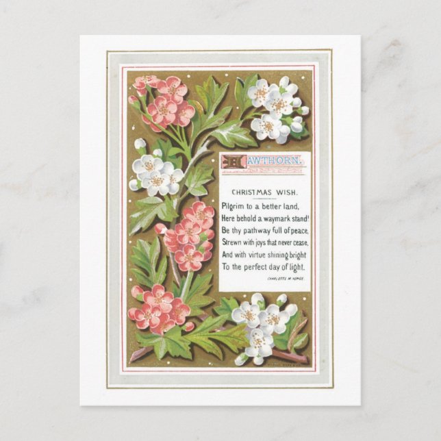 Alte Weihnachten, Blume Feiertagspostkarte (Vorderseite)