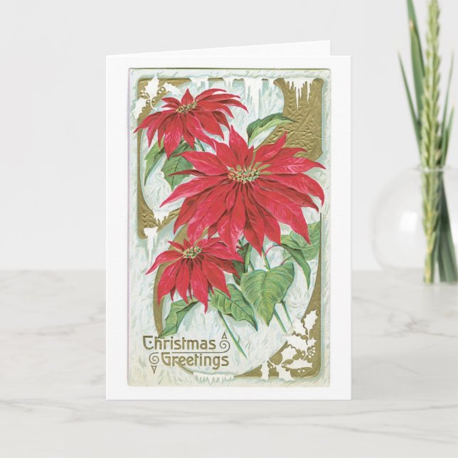 Alte Weihnachten, Poinsettia Feiertagskarte (Vorderseite)