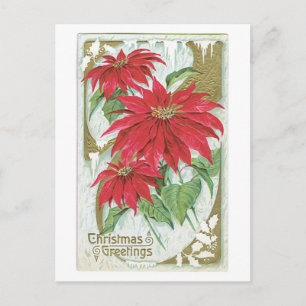 Alte Weihnachten, Poinsettia Feiertagspostkarte