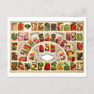 Alte Werbung für Obst-, Gemüse- und Blumensamen Postkarte