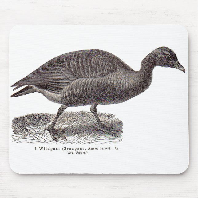 Alte Wildgans-Wildgans Mousepad (Vorne)