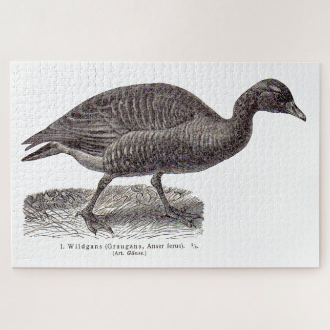 Alte Wildgans-Wildgans Puzzle (Horizontal)