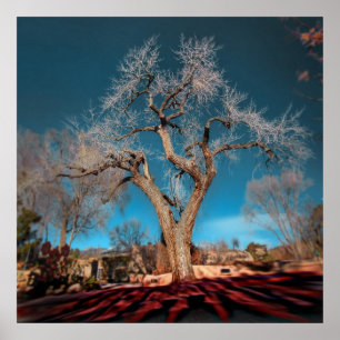 Alte Wurzeln der Canyon Road Poster