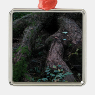 Alte Wurzeln Ornament Aus Metall