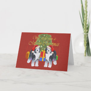 Altenglischer Schäferhund Weihnachten