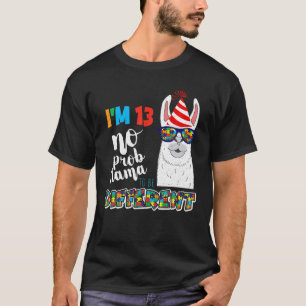 Alter 13 Jahre alt Geburt Llama Puzzle April Autis T-Shirt