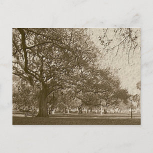 Alter Akku Postkarte