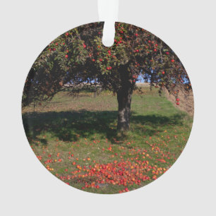 Alter Apfelbaum Ornament