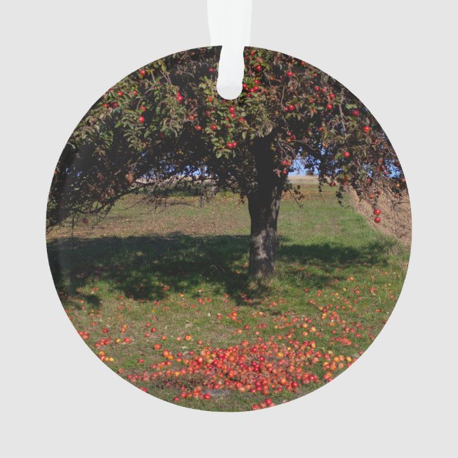 Alter Apfelbaum Ornament (Rückseite)