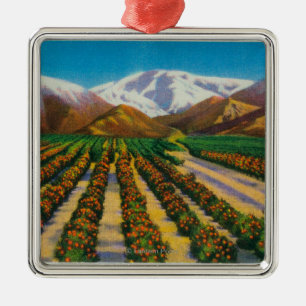 Alter Baldy Berg von den orange Waldungen Silbernes Ornament