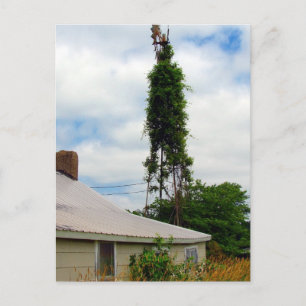 Alter Bauernhof Postkarte