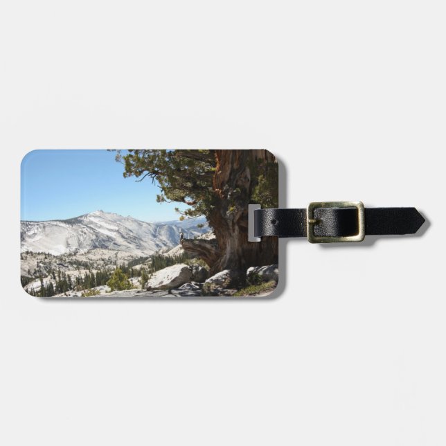 Alter Baum an Yosemite Nationalpark Gepäckanhänger (Vorderseite horizontal)