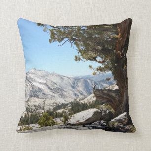 Alter Baum an Yosemite Nationalpark Kissen