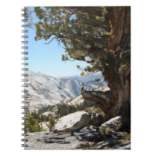 Alter Baum an Yosemite Nationalpark Notizblock